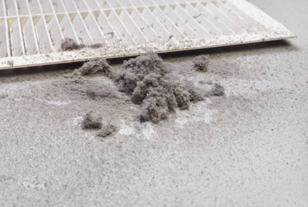 Best Affordable HVAC Duct Cleaning  in West Palm Beach, FL